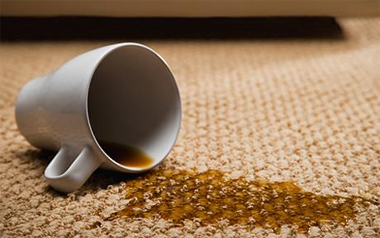 Carpet Cleaning Sayville,  NY